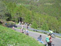 mortirolo (50)